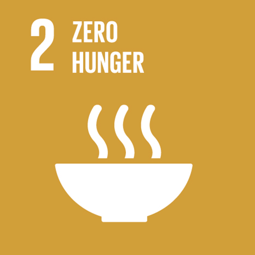 sdg-02.png