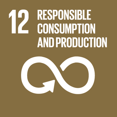 sdg-12.png