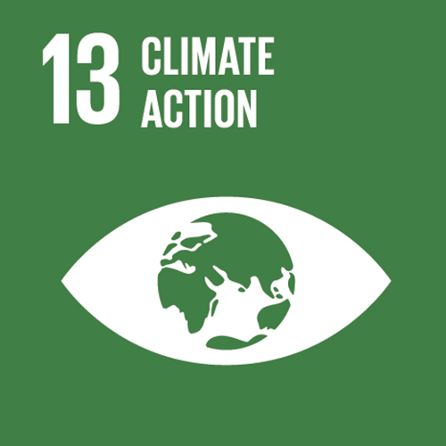 sdg-13.png