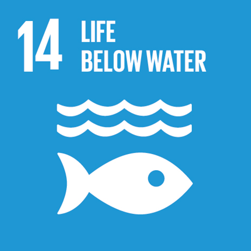 sdg-14.png