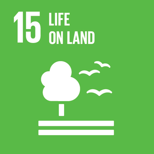 sdg-15.png