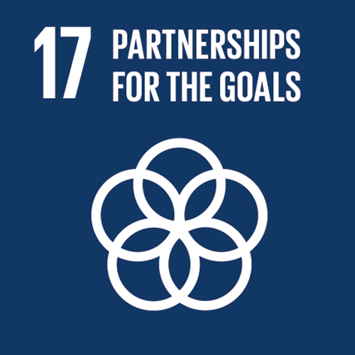 sdg-17.png